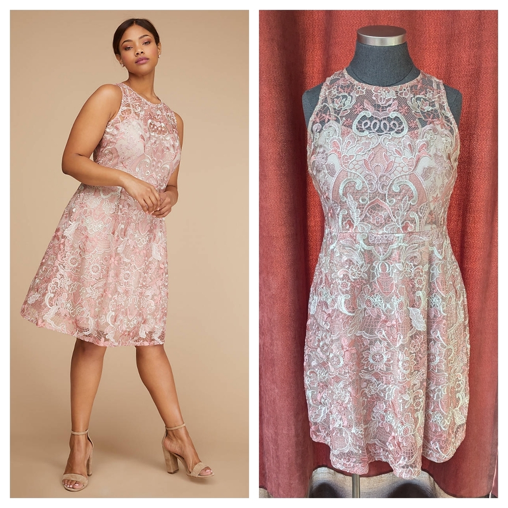 Embroidered Lace Fit & Flare Dress